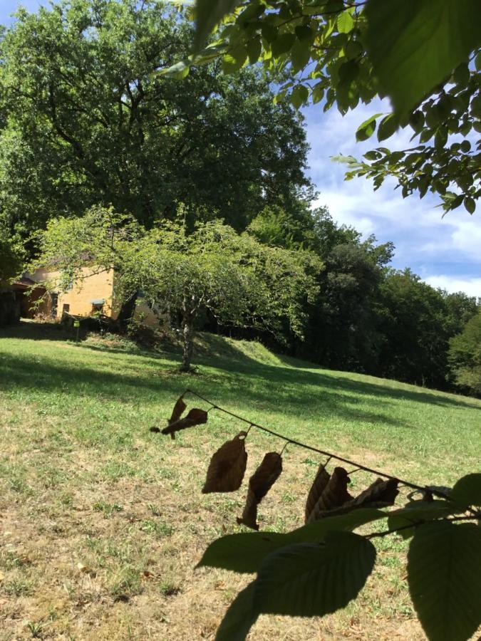Villa Logis des 4 fées Sainte-Nathalène Exterior foto